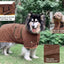 Pet Bathrobe Fast Drying Towel Microfiber Absorbent Soft Bath Robe Adjustable Towel Grooming Coat for Small Medium Large Dog