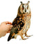 Farm Protector Bird Scarer Owl Scarecrow Scarer Pendant Garden Protector Pendant Waterproof With Bell Fake Bird Scarecrow Bird