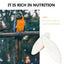 Natural Cuddle Bone Parrot Chew Toys Chewing Cuttlefish Bone Bird Cuttlebone Environmental Protective Toy