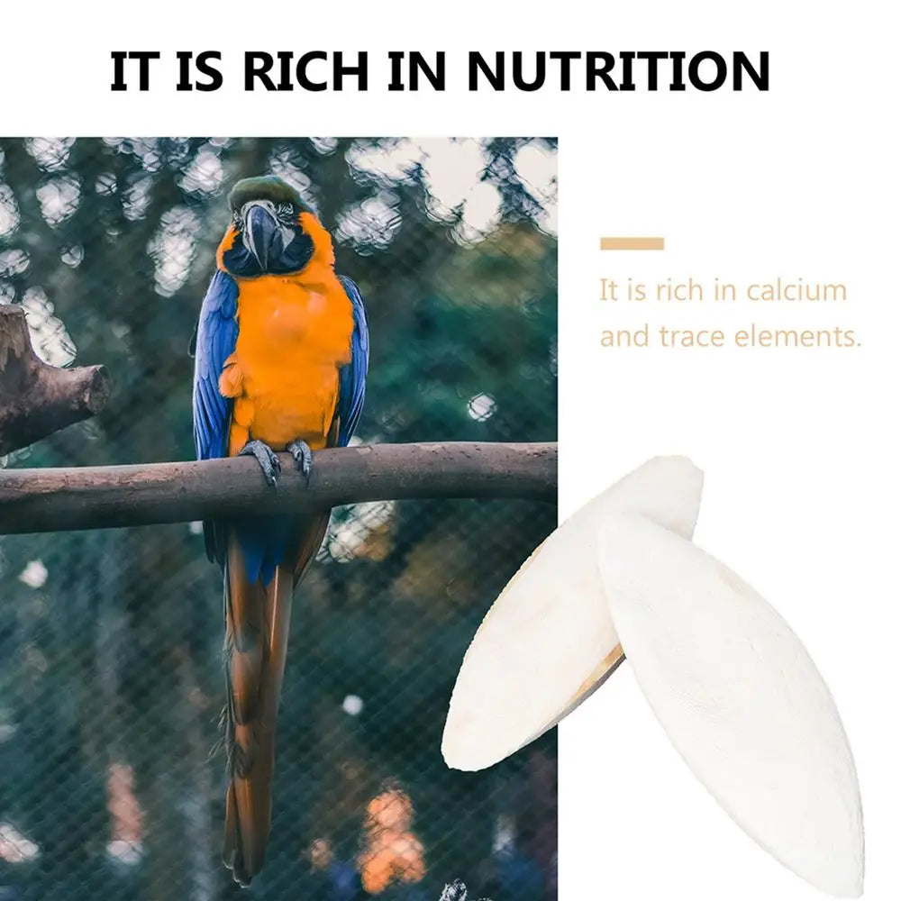 Natural Cuddle Bone Parrot Chew Toys Chewing Cuttlefish Bone Bird Cuttlebone Environmental Protective Toy