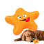 Pet Squeaky Toy Dog Teeth Cleaning Toys Sound Interactive Dog Teether Bite Resistant Funny Puppy Chewing Playing Toys