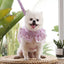 Pink Flower Puppy Harness Mesh Breathable Small Girl Dog Cat Vest Harness Cute Doggy Lace Dress Harness with Leash for Walking