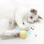 EW Gravitational Barking Ball Teaser Cat Stick Mint Ball Toy EW Gravitational Barking Ball Teaser Cat Stick Mint Ball Toy
