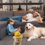 Hats For Dogs Dog Puppy Cat Engineering Hat Adjustable Breathable Outdoor Sports & Engineer Hats Sun Protection For Festival