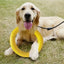 Dog Toys Pet Flying Disk Training Ring Puller Anti-Bite Floating Interactive Supplies Dog Toys Aggressive Chewing Toy