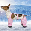 Dog Boot Waterproof Leggings For Paw Protection Dog Snow boots For Winter Dirty-Proof Anti-Fall Pets Outdoor Walking Supplies