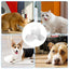 Cat Dog Water Dispenser Cat Feeder Water Bowl Container Automatic Snail Shape Drinking Fountain Cat Feeder Water Bowl Feeder