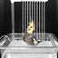 Bird Shower Box Automatic Shower Tub Multipurpose Bird Bathtub Parrot Bath Box For Pet Brids Parakeet Cleaning Supplies