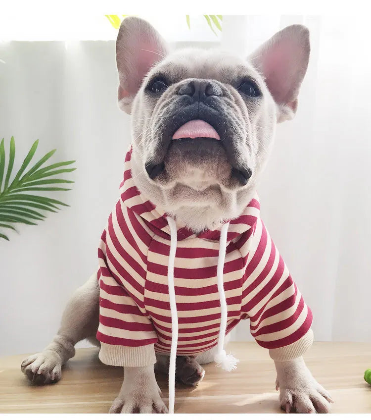 autumn winter fleece pet clothes dog hooded pet parent-child clothing stripe French Teddy small dog cat clothing
