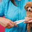 Dog Paw Trimmer Paw Pad Trimmer Paw Trimmer Rechargeable Cordless Nail Grinder Shaver For Cats And Other Pets