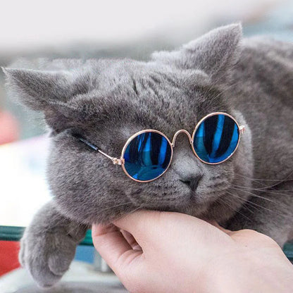 Anti-slip Cat Sunglasses Pet Accessories Small Dog Sun Glasses Classic Retro Circular Glasses for Kitten Photos Props Cosplay