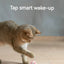 Cat Interactive Ball Training Self-moving Kitten Electric Cat Ball Tovs Elect ronic Automatic Rolling Magic Ball Toys for Cat