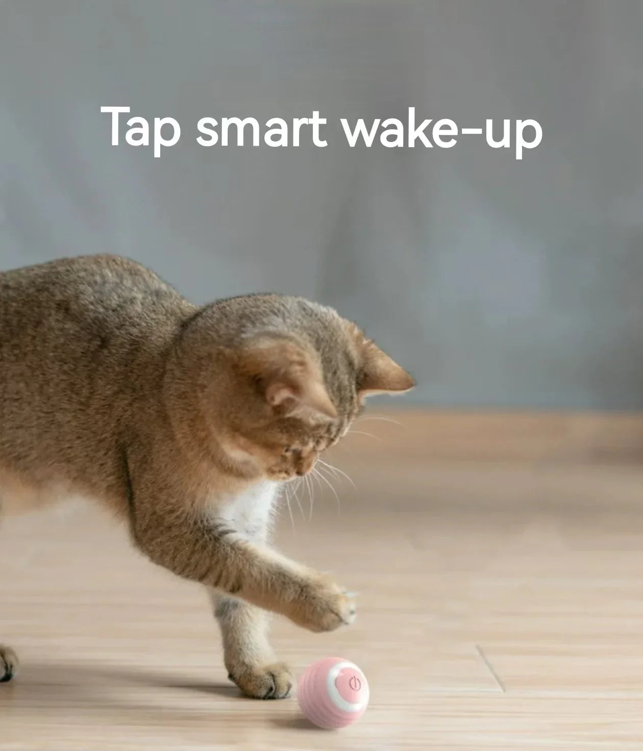 Cat Interactive Ball Training Self-moving Kitten Electric Cat Ball Tovs Elect ronic Automatic Rolling Magic Ball Toys for Cat