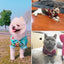 Small and medium-sized dog beach pineapple shirt Hawaiian pet dog cat golden retriever spring and summer season clothing