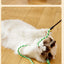 Simulation Feather Interactive Cat Toy Satin Ribbon Bell Cat Stick Toys Kitten Playing Teaser Wand Toy Cat Supplies Accessories