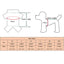 Reusable Female Dogs Diaper Pants Sanitary Female Dog Pants Diapers For Dogs Menstruation Pet Cat Physiological Shorts Girl