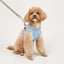 Dog Harness Small Dogs Breast-band Pet Accessories Leash Reflective Soft Mesh Dog Harness for Small and Medium Breeds