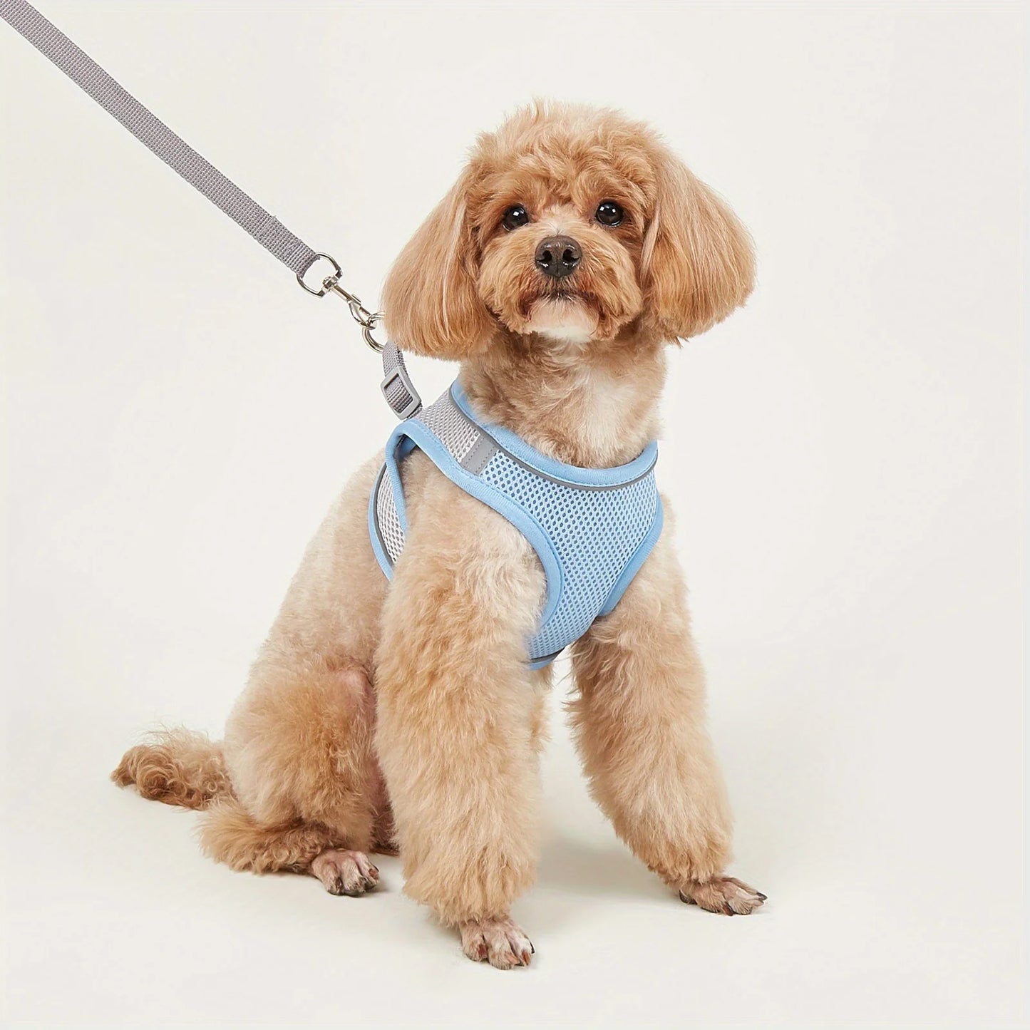 Dog Harness Small Dogs Breast-band Pet Accessories Leash Reflective Soft Mesh Dog Harness for Small and Medium Breeds