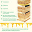 Benefitbee beekeeping 3 layers Langstroth beehive kit with 1 deep box and 2 super boxes bee hive complete