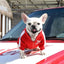 Pet Sports Clothing For Small Medium Dogs Plus Velvet Cats Zipper Leisure Sweater Coat French Bulld