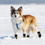 Pet shoe cover indoor warm anti-slip pet socks dog soft comfortable magic sticker adjustable fit Wear-Resistant Dog Shoes