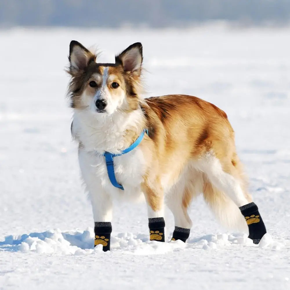 Pet shoe cover indoor warm anti-slip pet socks dog soft comfortable magic sticker adjustable fit Wear-Resistant Dog Shoes