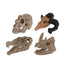 Aquarium Ornaments Decoration Resin Rhinoceros Horned Skull Goat-Head Shape Fish Tank Spider Scorpion Lizard Aquariums Shelter