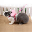 Small Animal Rabbit Harness with Leash Cute Bunny Collar Pet Bunny Supplies Cat Harness & Leash Set for Adult Guinea Pig Ferret