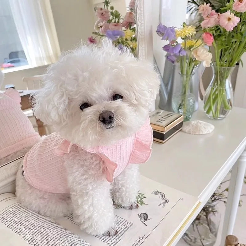 Cute Bow Dog Vest 2024 Dog Clothes Puppy Pullover Summer Pet Clothes Breathable Two-Legged Clothes Solid Color Cat Pet Products