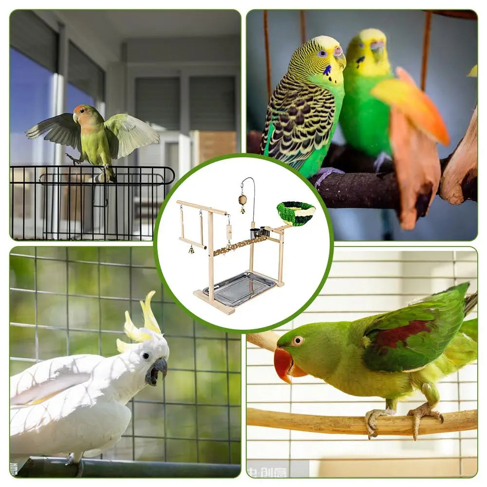 Bird Playground Stand Bird Perch Stand For Cage Natural Wooden Conure Budgie Lovebird Stand Activity Center Claw Grinding Toy