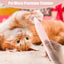 Cordless Dog Grooming Kit Cordless LED Light Rechargeable Multifunctional Pet Hair Clippers Pet Hair Clippers For Small Dogs