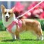 Dog Harness Dog Traction Rope Corduroy Breathable Dog Chest Strap Reflective Pet Chest Strap Walking Rope Set