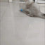 Cat Interactive Ball Smart Pet Cat Toys Indoor Automatic Rolling Magic Ball Electronic Interactive Cat Toy Cat Game Accessories