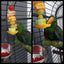 Pet Parrots Birds Food Holder Support Stainless Steel Fruits Spear Stick Meat Fruit Vegetable Skewer Tool