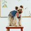 New Dog Harness and Leash Set for Small Dogs, Dark Wash Denim Puppy Dog Vest Harness Tassels Pet Jeans Butterfly Harness