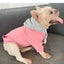 The New  Pet Clothes  Dog Clothes Parent-child Wear Spring and Autumn Korean Version Pure Cotton Hoodie Four Colors Seven Sizes