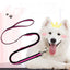 190cm Elastic Dog Leash Pet Cat Puppy Anti Dash Pull Dog Lead Leash Retractable Leash For Rabbit Hamster Small Pets Dropshipping