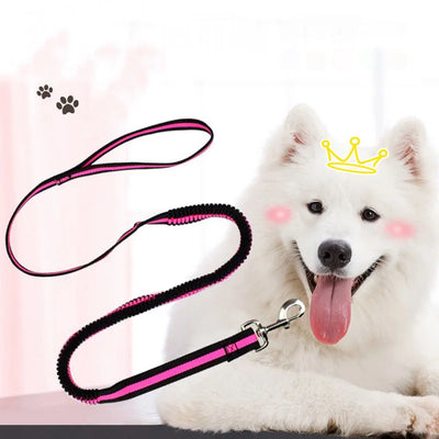 190cm Elastic Dog Leash Pet Cat Puppy Anti Dash Pull Dog Lead Leash Retractable Leash For Rabbit Hamster Small Pets Dropshipping