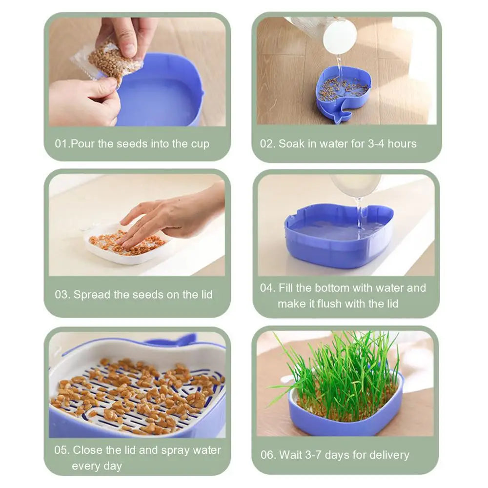 Cat Grass Growing Kit Whale Shape Cat Grass Pot Layered Design Soillness Hydroponic Sprout Tray Hollow Planting Box for Cats