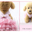 Summer Dog Dress Veil Clothes Universal Dogs Dress Chihuahua Stripe Tulle Skirt Cute Puppy Pet Cat Princess Costume Dog Apparel