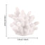Small Coral Fish Tank Decor Tiny Sea Coral Artificial Decor Aquarium Decor For Fish Tank Aquarium Animal Terrarium And Family