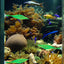 Fake Silicone Betta Fish Leaf Hammock, Pad with Suction Cup, Fish Resting Spot, Bed for Tank
