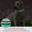 Pet Supplies Dog Leash Collar Adjustable Pet Leash Chest Strap Dog Leash Collar
