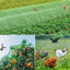 Garden Netting Green Woven Mesh Protect Plants Fruits Flowers Trees Stretch Fencing Durable Net Stops Birds Deer Animals