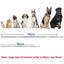 New 38/70cm Pet Anti Flea Ticks Anti-parasitic Dog Collar 8 Month Protection Retractable Collars for Puppy Cat Big Dogs Supplies