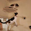 4 Pieces Wall Mounted Cat Climbing Shelves Set Wooden Platform Corner of Wall with Cat Small Jumping Platform Kitty Playing