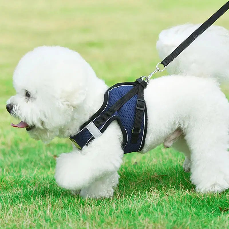 Pet Harness For Small Dogs No Pull Soft Padded Dog Vest For Medium Large Dogs Breathable Reflective Adjustable Soft Mesh Padded