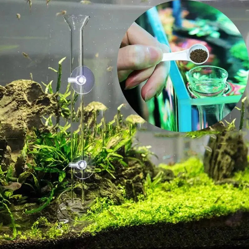 Thickened Glass Aquarium Feeder Tube Dish Transparent Fish Tank Shrimp Snail Food Feeder Bowl Aquarium Fish Feeding Accessories