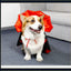 Cat Halloween Costume Pet Cloak Red Black Kitten Cape Pet Puppy Apparel Halloween Party Costume for Small Dogs Cats Accessories
