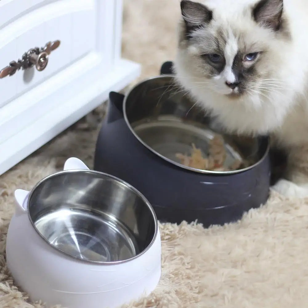 Automatic Pet Heating Bowl Heating Drinking Water Heating Insulation Dog Winter Bowl Pet Food Containers Heating Bowl